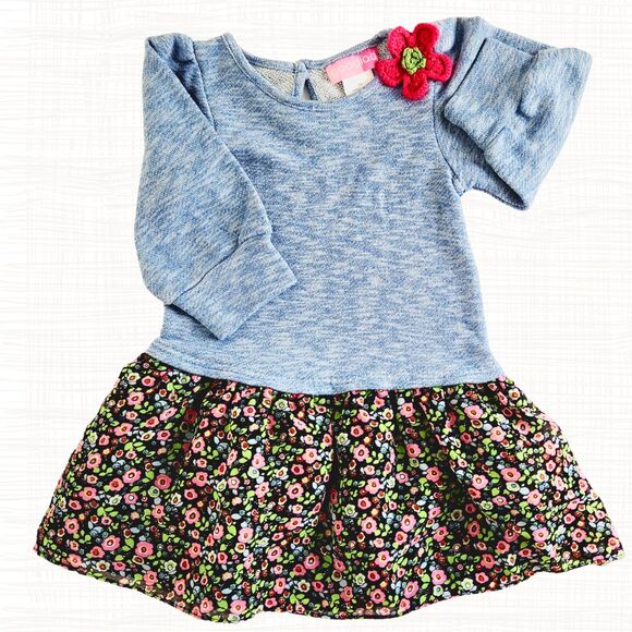 Good Lad Other - Goodlad Size 5 Girl's Fall/Winter drop waist floral Sweatshirt dress w Applique